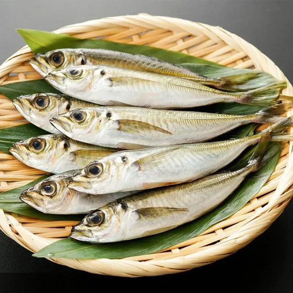 94b661a3-42ef-46af-a61a-ca89171d5dd8