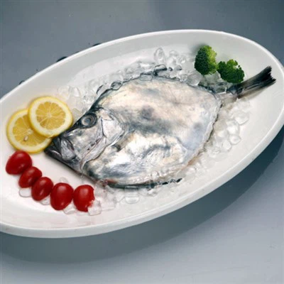 Mrożona ryba księżycowa