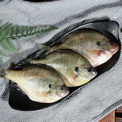 Ryba Dory z owoców morza